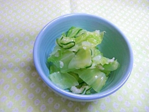 茹でキャベツとキュウリ塩糀和え